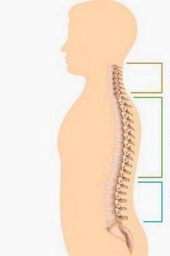 Defeat due to osteochondrosis of various parts of the spine